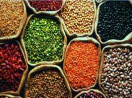 बीज उत्पादन का हब बनेगा बिहार