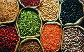 बीज उत्पादन का हब बनेगा बिहार