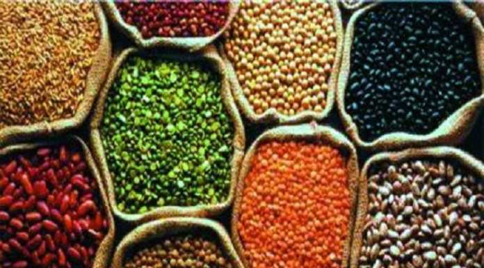 बीज उत्पादन का हब बनेगा बिहार