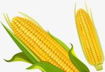 ओमप्रकाश अश्क की पांच कविताएं