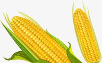 ओमप्रकाश अश्क की पांच कविताएं