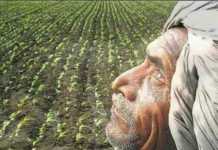 खबर का असर : मनपौर के पैक्स अध्यक्ष और बैंक मैनेजर पर FIR