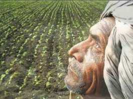 सरकार कहती ठीक है, पर बेहाल हैं बिहार में किसान