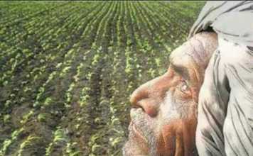 सरकार कहती ठीक है, पर बेहाल हैं बिहार में किसान