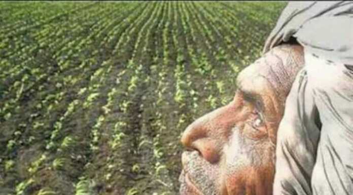 सरकार कहती ठीक है, पर बेहाल हैं बिहार में किसान