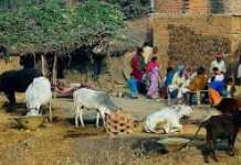 उदीयमान कवि दीपक कुमार की दो कविताएं