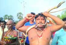 नाग पंचमी पर नागों के संग मेले में पहुंचे भक्त