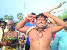 नाग पंचमी पर नागों के संग मेले में पहुंचे भक्त