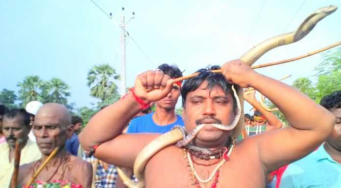 नाग पंचमी पर नागों के संग मेले में पहुंचे भक्त