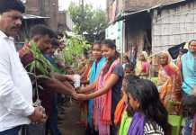 बेगूसराय में सामूहिक रक्षा बंधन, कल पेड़ों को बांधेंगे राखी