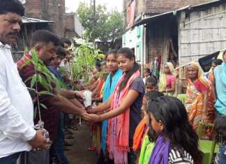 बेगूसराय में सामूहिक रक्षा बंधन, कल पेड़ों को बांधेंगे राखी