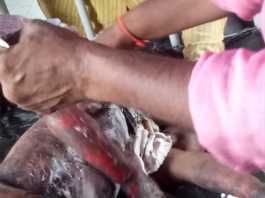 सुगौली में बैलून गैस सिलेंडर ब्लास्ट होने से दो दर्जन लोग हुए घायल