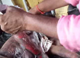 सुगौली में बैलून गैस सिलेंडर ब्लास्ट होने से दो दर्जन लोग हुए घायल