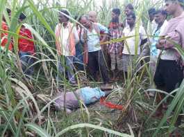 बेगूसराय के गढ़पुरा थाना क्षेत्र में अधेड़ का शव मिलने से सनसनी