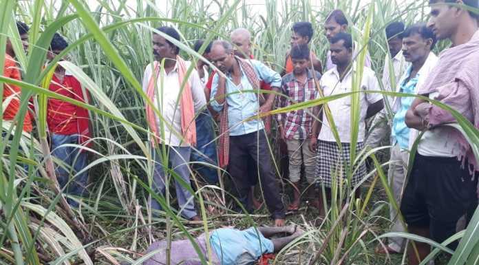 बेगूसराय के गढ़पुरा थाना क्षेत्र में अधेड़ का शव मिलने से सनसनी