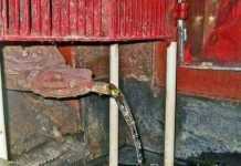 एक मंदिर, जहां शिवलिंग पर स्वयं जलाभिषेक करती हैैं मां गंगा