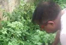 वही सबके घर की घंटी बजाते हैं, और फिर होता है यह काम