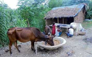 मलिकाइन के पाती- जइसन देवता, ओइसन पूजा