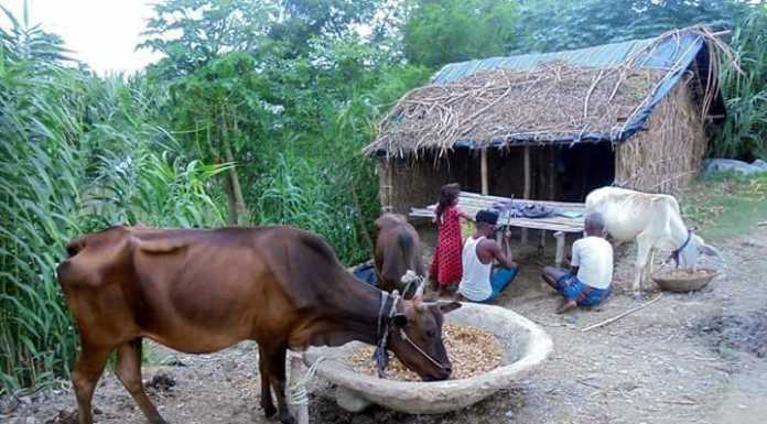 बार-बार मन पूछे मेरा, बोलो भाई- कहां गइल मोर गांव रे!