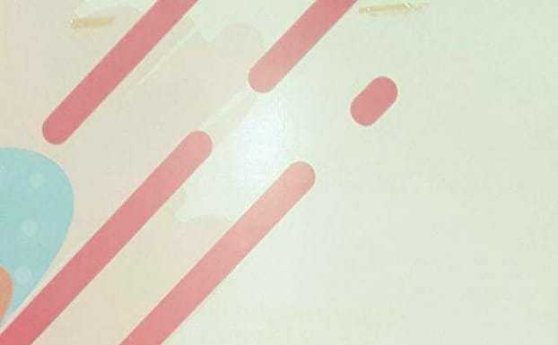 लोक गायकी की सशक्त हस्ताक्षर हैं बिहार की बेटी मीना सिंह