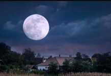 रेवती नक्षत्र में शरद पूर्णिमा बुधवार को, लक्ष्मी पूजें, धन पाएं