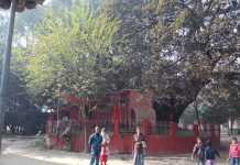 इतिहास के आईने में बिहारः सुगांव डायनेस्टी और विद्यापति