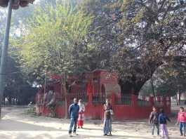 इतिहास के आईने में बिहारः सुगांव डायनेस्टी और विद्यापति