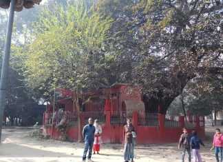 इतिहास के आईने में बिहारः सुगांव डायनेस्टी और विद्यापति