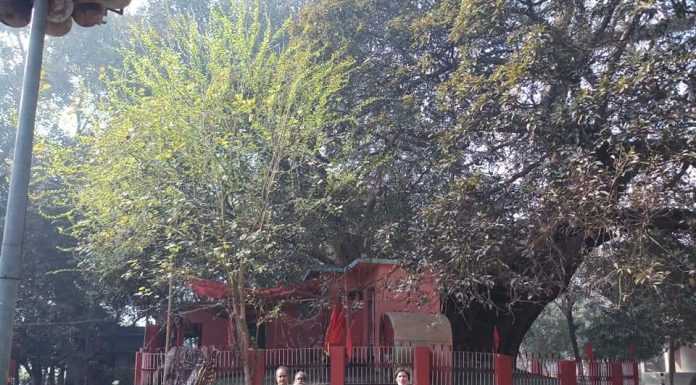 इतिहास के आईने में बिहारः सुगांव डायनेस्टी और विद्यापति