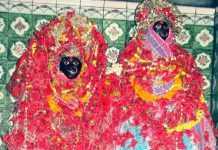 पांडवों ने स्थापित की थी आरा में मां आरण्य देवी की प्रतिमा