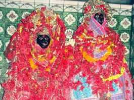 पांडवों ने स्थापित की थी आरा में मां आरण्य देवी की प्रतिमा