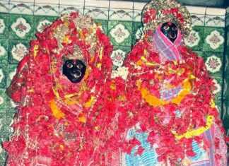 पांडवों ने स्थापित की थी आरा में मां आरण्य देवी की प्रतिमा