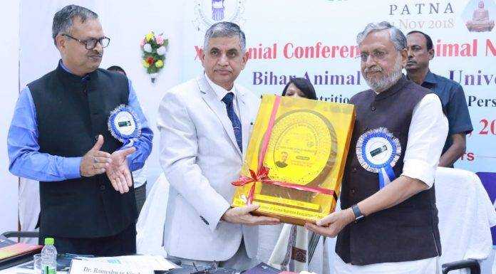 बिहार में बहाल होंगे 903 पशु चिकित्सक, सुशील मोदी ने की घोषणा