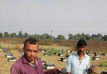 मधुमक्खी पालन ने बदल दी प्रदीप की किस्मत, कारोबार 50 लाख