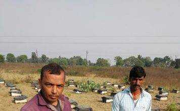 मधुमक्खी पालन ने बदल दी प्रदीप की किस्मत, कारोबार 50 लाख