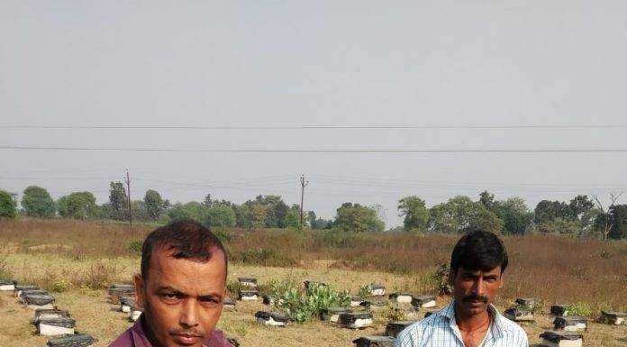 मधुमक्खी पालन ने बदल दी प्रदीप की किस्मत, कारोबार 50 लाख