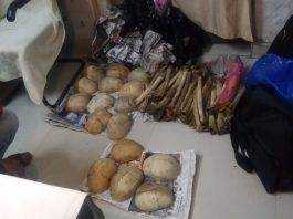 छपरा जंक्शन पर ट्रेन में तलाशी के दौरान मिले नरकंकाल