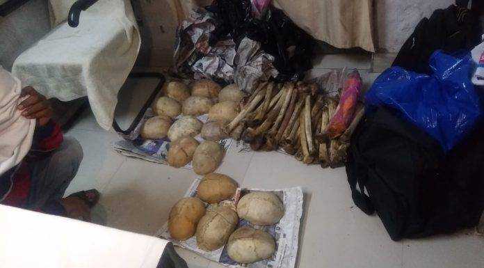 छपरा जंक्शन पर ट्रेन में तलाशी के दौरान मिले नरकंकाल