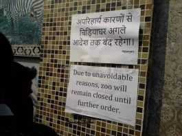 सावधान! पटना में बर्डफ्लू ने दी दस्तक, चिड़ियाखाना बंद