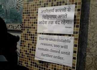 सावधान! पटना में बर्डफ्लू ने दी दस्तक, चिड़ियाखाना बंद