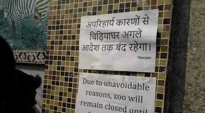 सावधान! पटना में बर्डफ्लू ने दी दस्तक, चिड़ियाखाना बंद