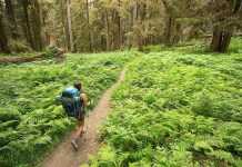 पर्यटकों को बिहार की ओर आकर्षित कर रहा है ईको टूरिज्म