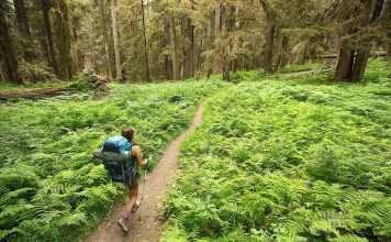 पर्यटकों को बिहार की ओर आकर्षित कर रहा है ईको टूरिज्म