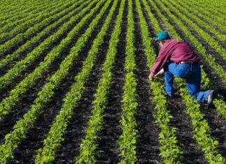 किसान और कर्ज माफी के मुद्दे पर ही अब चुनाव लड़े जाने की तैयारी