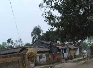 मलिकाइन के पाती- पोखरा खोनाइल ना, घरियार डलले डेरा गांव का दृश्य