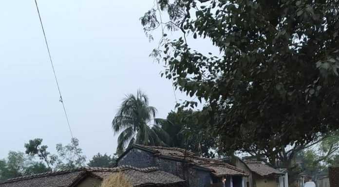 मलिकाइन के पातीः आगरमती अगरइली त खांड़ा पर परइली गांव का दृश्य