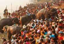 सम्राट चंद्रगुप्त मौर्य हाथी-घोड़े खरीदने आते थे सोनपुर मेला