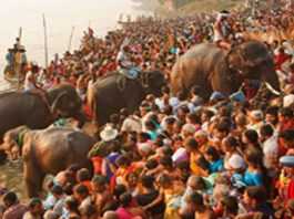 सम्राट चंद्रगुप्त मौर्य हाथी-घोड़े खरीदने आते थे सोनपुर मेला