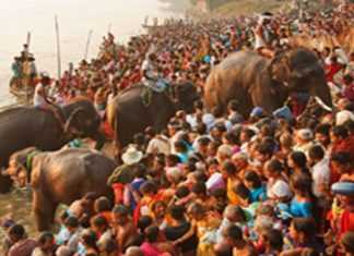 सम्राट चंद्रगुप्त मौर्य हाथी-घोड़े खरीदने आते थे सोनपुर मेला
