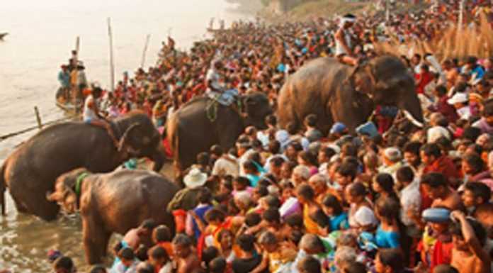 सम्राट चंद्रगुप्त मौर्य हाथी-घोड़े खरीदने आते थे सोनपुर मेला